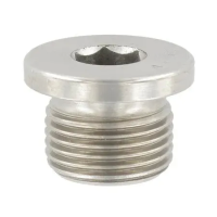 Пробка резьбовая с внутренним шестигранником G 1 1/2" DIN 908 нержавеющая сталь А2